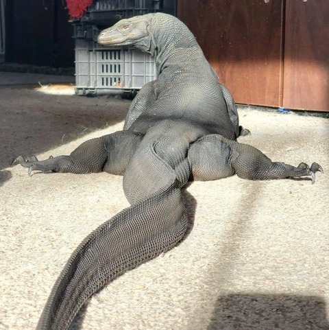 【画像】ドス●ベなケツが見つかるｗｗｗｗｗｗｗｗｗｗｗ
