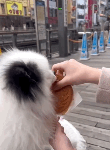 韓国発祥 SNSで大バズりの10円パンｗｗｗｗｗｗ （※画像あり）