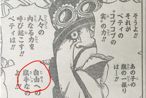 ワンピースでヤバ過ぎる伏線が発見されるｗｗｗｗｗｗｗ 画像あり ラビット速報