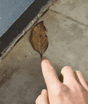 livejupiter_1759654650_901