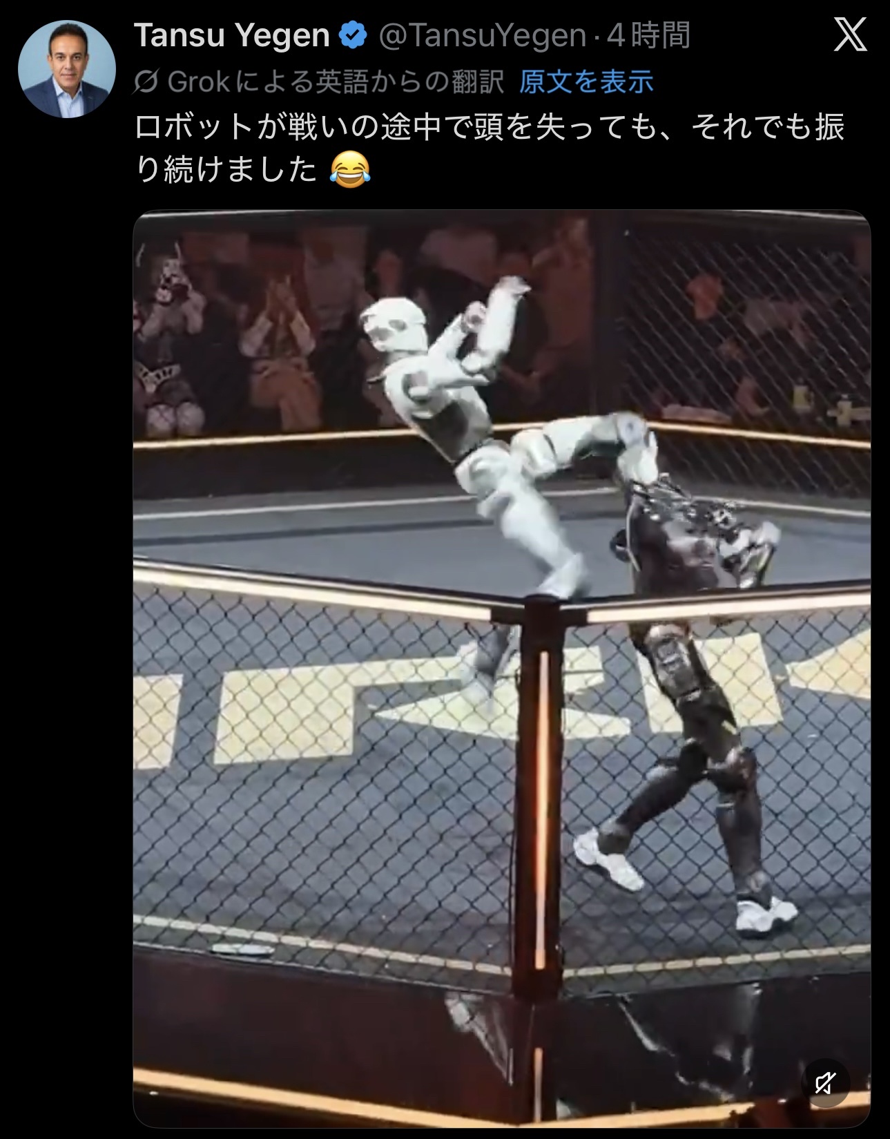 【動画】中国のロボット格闘大会、エンタメとして地位を固める