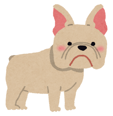 dog_french_bulldog