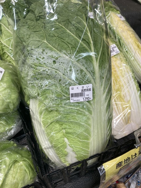 【画像】白菜、一線越えｗｗｗｗｗｗｗｗｗｗｗｗ