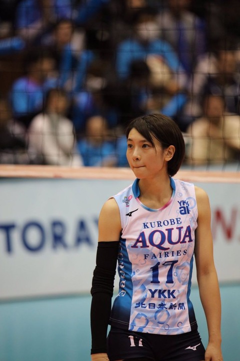 【画像あり詳細あり】ワイの理想の女子バレーボール選手、見つかる