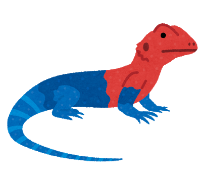 tokage_red_headed_rock_agama