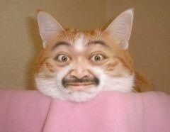 45_1