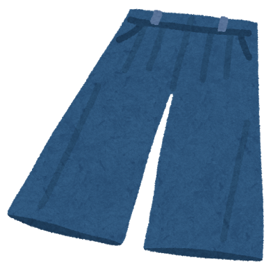 fashion_gaucho pants