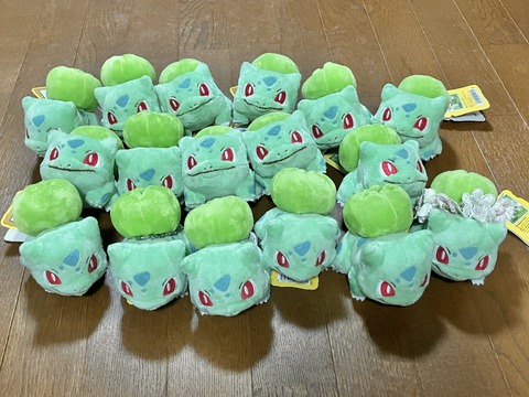【画像】女ポケモンオタクの部屋ｗｗｗｗｗｗｗｗｗｗｗ