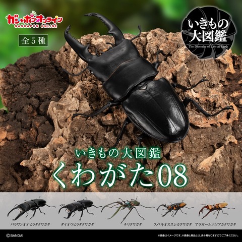 【画像】最近のガチャガチャ、ほぼ本物ｗｗｗｗｗｗｗｗｗ