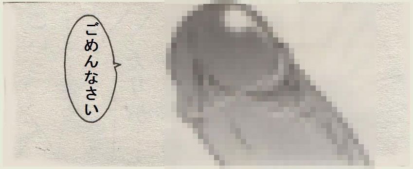 画 像 で 笑 っ た ら 寝 ろ ラビット速報