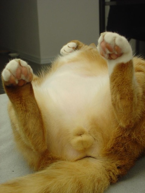 7_1