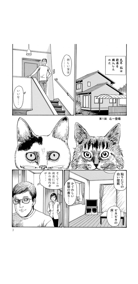 画像 犬派のホラー漫画家が猫を飼う事になり発狂 人気の話題まとめましたm9 W