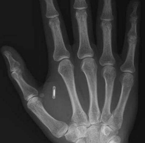 o1024101214267569359