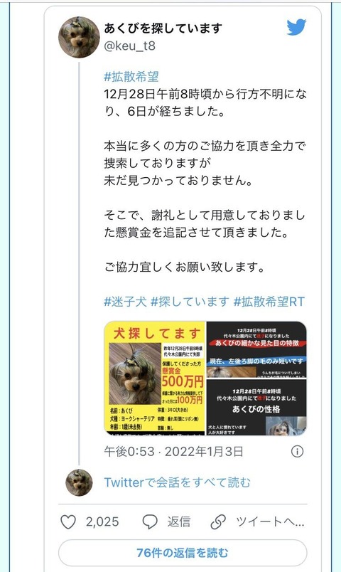 速報 代々木公園で飼い犬が失踪 見つけたら懸賞金500万円 人気の話題まとめましたm9 W