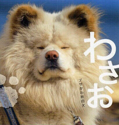 20200609-00000007-jct-000-1-view