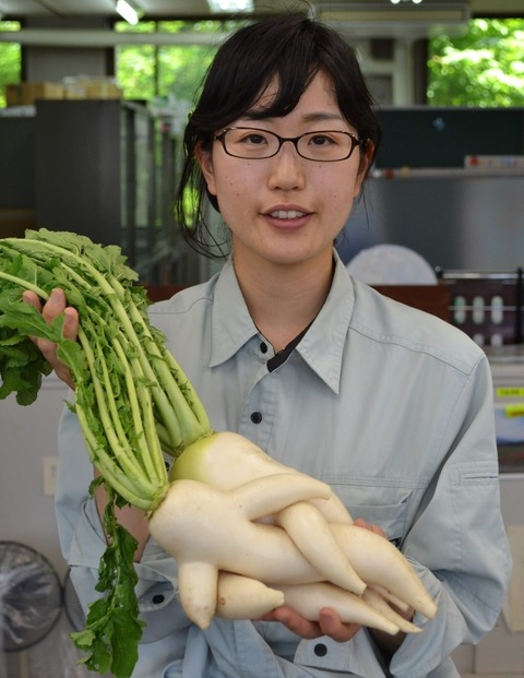 画像有 地味可愛いメガネ県職員が卑猥すぎる大根を片手に wwwwwwww ラビット速報 画像有 地味可愛いメガネ県職員が卑猥すぎる大根を片手に wwwwwwww ラビット速報