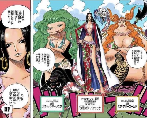 【画像】尾田栄一郎くん「絶世の美女を描けか、まあこんなんでいいだろ」→結果ｗｗｗｗｗｗｗｗｗ
