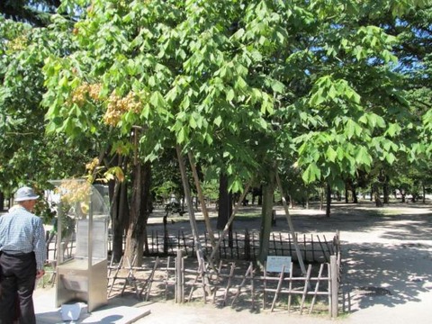vlippan291765