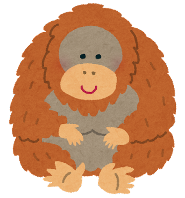 animal_Orangutan