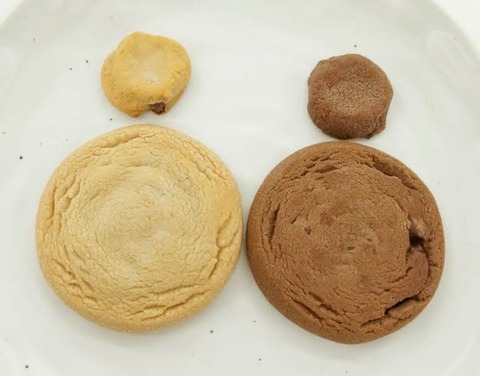 【画像あり】カントリーマアム、女性に配慮して小型化ｗｗｗｗｗｗｗｗｗｗｗ