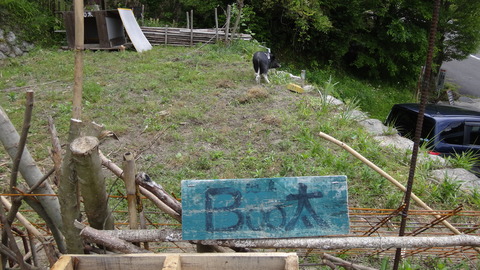 DSC06497