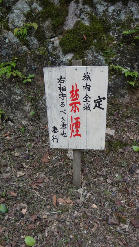 DSC06930