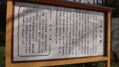 DSC06045