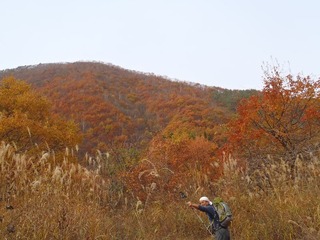 PB050098_R