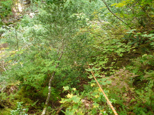 P1060824