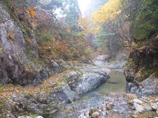 P1010109_R