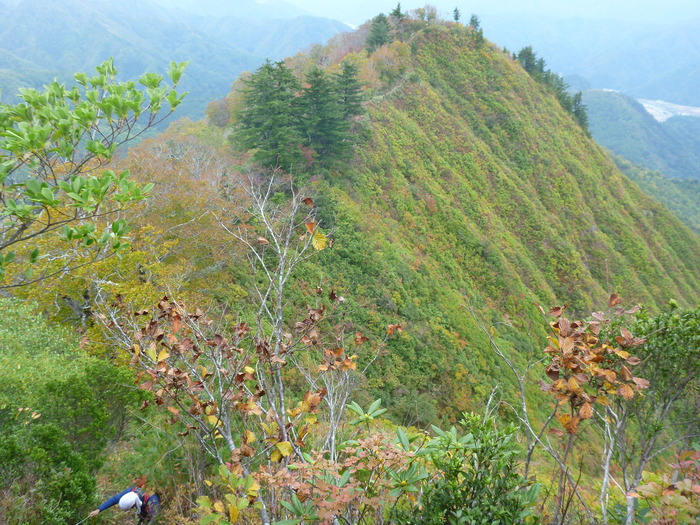 P1000673