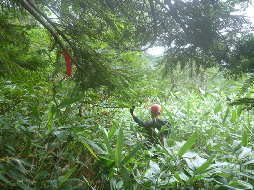 P1030340