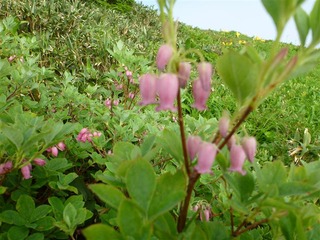 P1000433_R