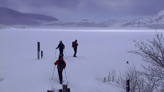 MP4_000012033