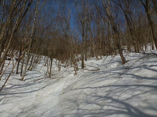 P1030555