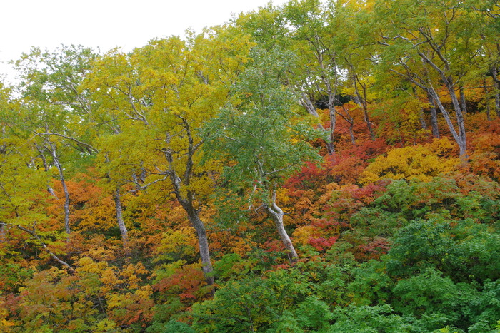 IMGP0742