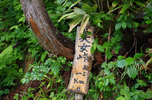 IMGP0670