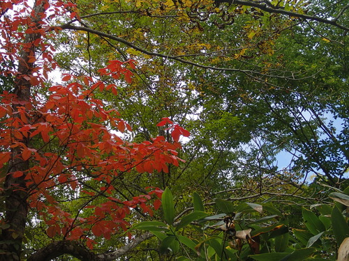 P9270010