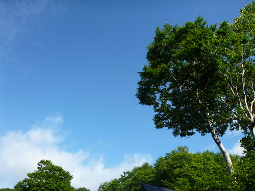 P1060193