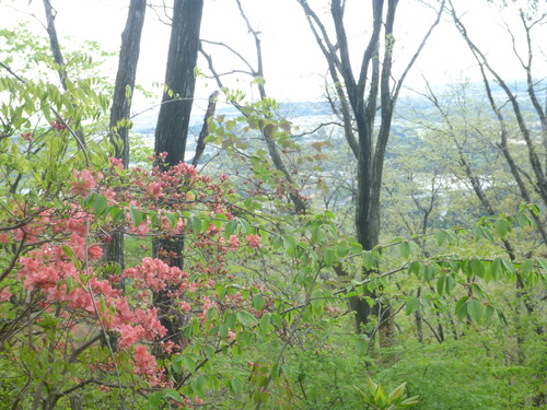 P1040010