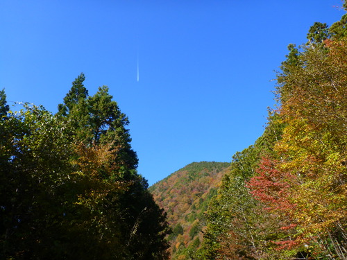 P1020861