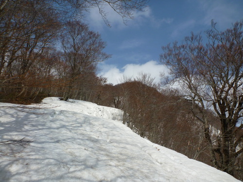 P1030531