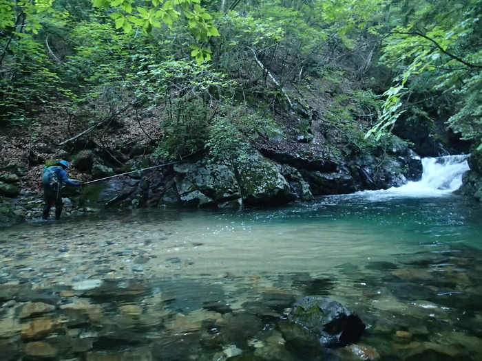 P8121249
