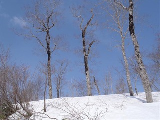 P4210042_R