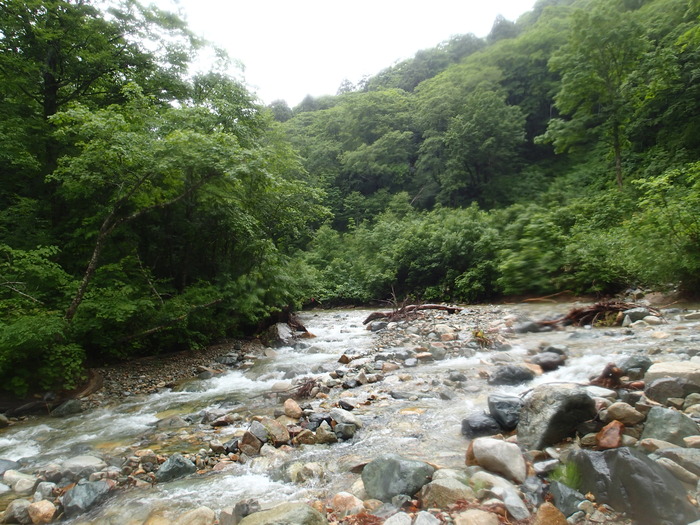 P7133302