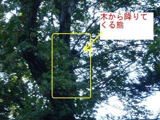 P9230164_R