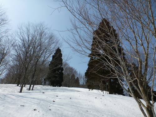 P1030318