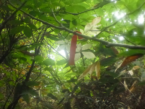 P1080235
