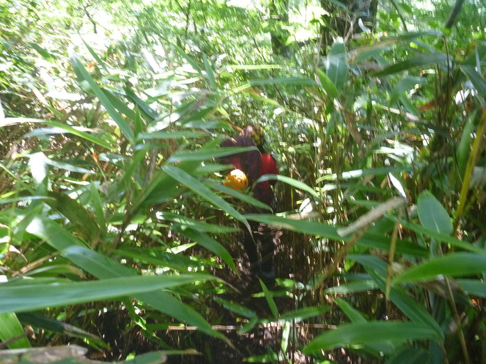 P1020529