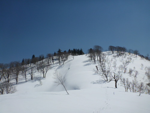 P1050852